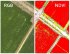 Квадрокоптер DJI Phantom 4 Multispectral + Мобильная станция D-RTK 2 High Precision GNSS в Санкт-Петербурге