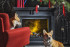 Портал Dimplex Coventry Graphite Grey - Серый графит в Санкт-Петербурге