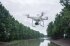 Сельскохозяйственный квадрокоптер DJI Phantom 4 мультиспектральный в Санкт-Петербурге