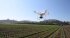 Сельскохозяйственный квадрокоптер DJI Phantom 4 мультиспектральный в Санкт-Петербурге