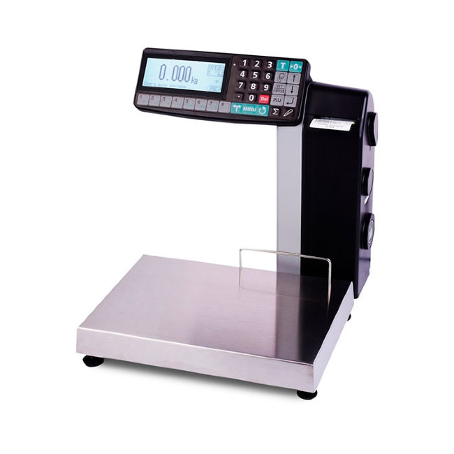 Весы МК-6.2-RL10-1 в Санкт-Петербурге